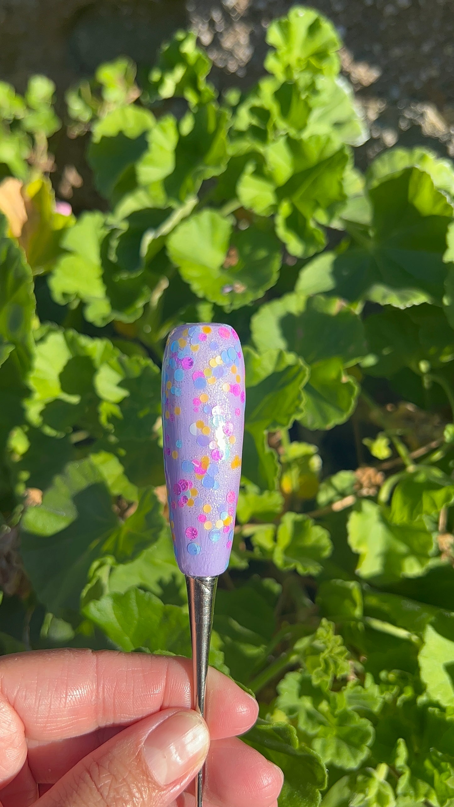 Royalty Cookie Scribe