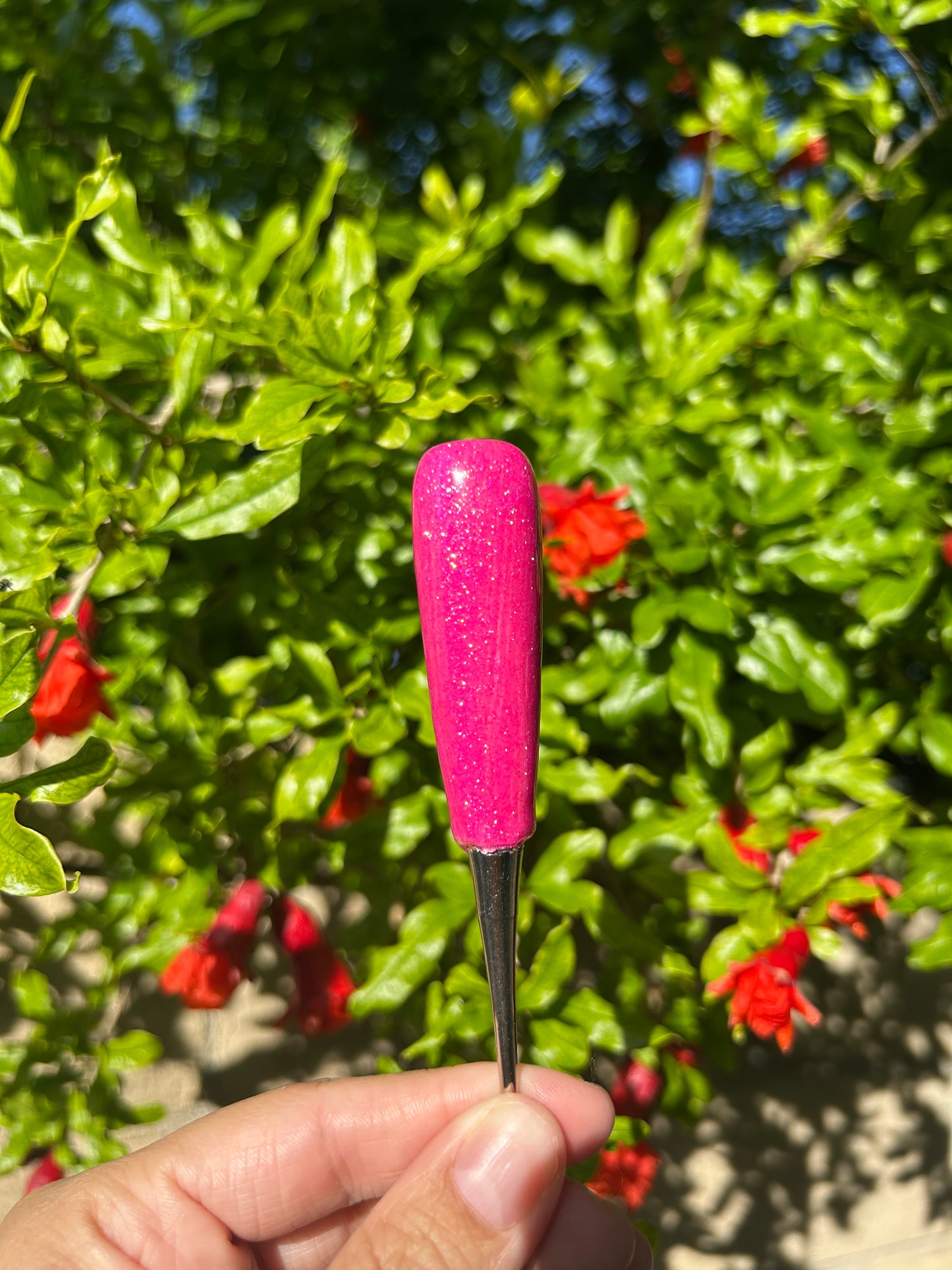 Blossom